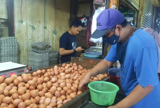 Harga Telur Ayam Mulai Merangkak Naik Menjelang Ramadan - GenPI.co JABAR