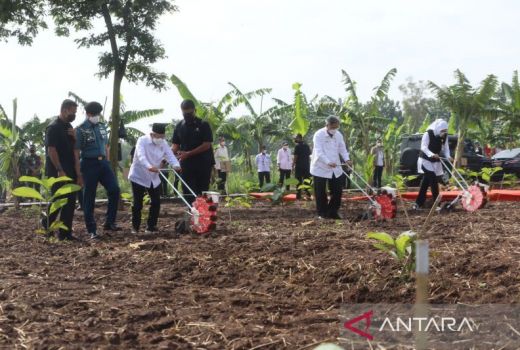 Bupati Purwakarta Punya Permintaan ke Pemerintah Pusat, Dengarlah - GenPI.co JABAR