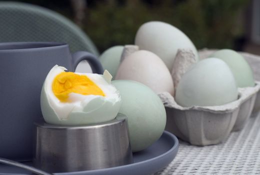 Tak Hanya Lezat, Ternyata Telur Asin juga Bagus untuk Kesehatan - GenPI.co JABAR