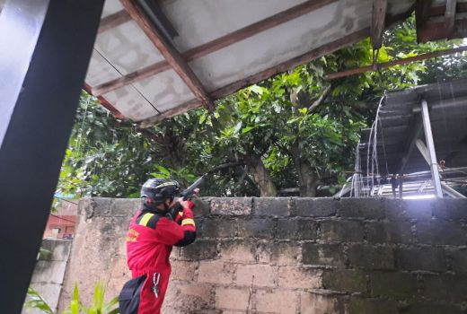 Seekor Monyet Lepas, Satu Warga Jadi Korban, Begini Nasibnya - GenPI.co JABAR