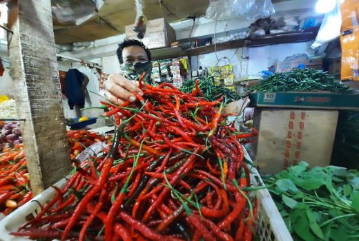 Ibu-Ibu di Bogor Bisa Tersenyum Lihat Harga Cabai dan Bawang Merah - GenPI.co JABAR