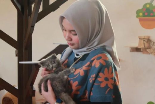 Memelihara Kucing Bisa Buat Jantung Lebih Sehat, Begini Faktanya - GenPI.co JABAR
