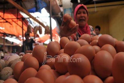 Warga Depok Pusing Harga Telur Ayam To The Moon - GenPI.co JABAR