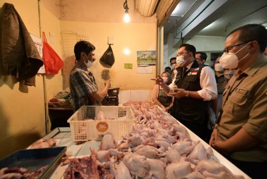 Kunjungi Pasar Baltos, Ridwan Kamil Sebut Ikan Mengalami Kenaikan - GenPI.co JABAR