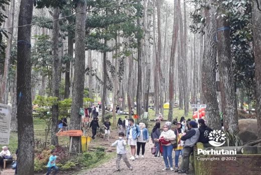 Bogor dan Bandung Raya Favorit, Libur Nataru Diprediksi Wisawatan Meningkat - GenPI.co JABAR