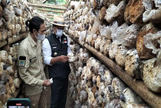 Program Petani Milenial Disebut Mengecewakan, PT Agro Jabar Angkat Bicara - GenPI.co JABAR