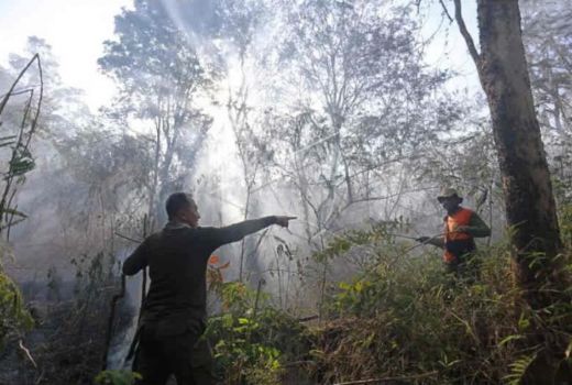 Kebakaran di Gunung Ciremai Belum Padam - GenPI.co JABAR