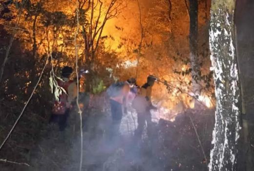 Kebakaran di Gunung Ciremai Hanguskan Ratusan Hektare Lahan - GenPI.co JABAR