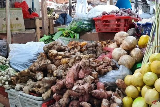Manfaat Temulawak Bagi Kesehatan, Bisa untuk Jerawat - GenPI.co JABAR