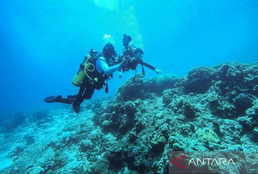 Mengejutkan, Wisata Selam di Indonesia Hanya 28,6 Persen yang Bisa Dinikmati - GenPI.co JABAR