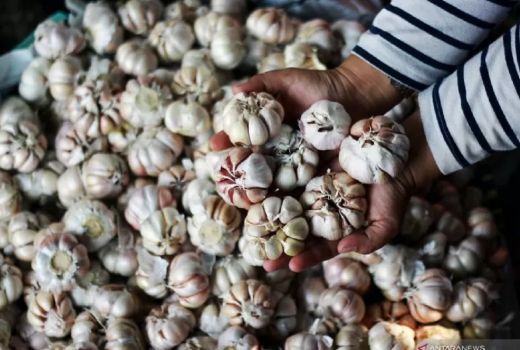 Daftar Rempah untuk Mengatasi Hidung Tersumbat, Manjur Banget! - GenPI.co JABAR