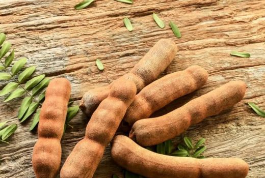 Manfaat Daun Asam Jawa untuk Gigi Menakjubkan, Bisa Dicoba - GenPI.co JABAR