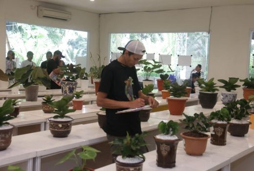 Puluhan Pencinta Anthurium Ikut Kontes di Indonesian Aroid Society - GenPI.co JABAR