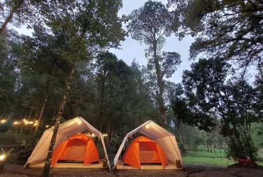 Hejo Forest, Rekomendasi Wisata di Bandung yang Wajib Kamu Kunjungi - GenPI.co JABAR