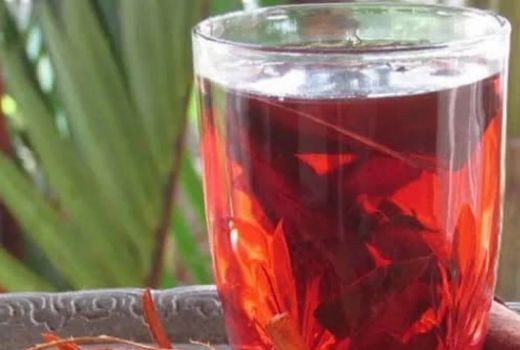 Sering Dibikin Wedang, ini 4 Manfaat Kayu Secang - GenPI.co JABAR