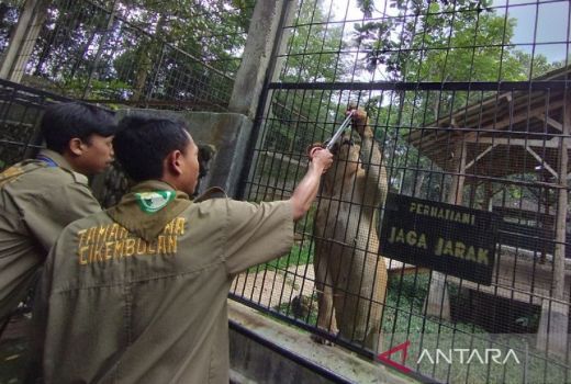 Wisata ini Jadi Favorit Warga Garut Habiskan Libur Tahun Baru - GenPI.co JABAR
