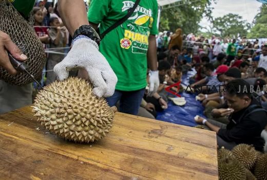 Festival Durian Lokal Sukabumi Kembali Digelar, Saatnya Makan Gratis - GenPI.co JABAR