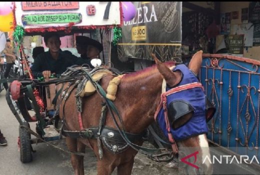 Ikon Transportasi, Pemkab Sukabumi Berencana Bangun Pangkalan Delman - GenPI.co JABAR
