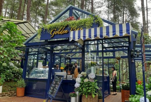 Rekomendasi Kafe di Bandung, Golden Pine Beri Suasana Minum Teh yang Berbeda - GenPI.co JABAR