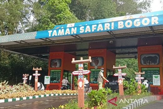 Tips Nyaman Berlibur di Taman Safari Indonesia Cisarua, Catat Baik-Baik - GenPI.co JABAR