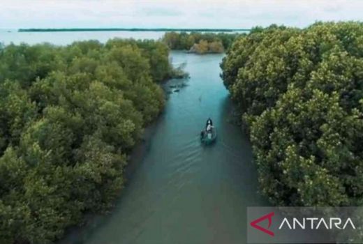 Punya 6 Wisata Alam Apik, Muaragembong Bekasi Masih Sepi Pengunjung - GenPI.co JABAR