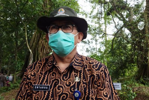 Perbaiki Debit Mata Air, Pemkab Temanggung Tanam Pohon Konservasi - GenPI.co JATENG