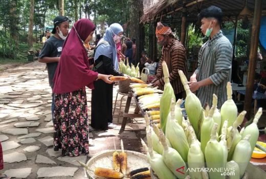 Wow, Kudus Gelar Festival 10.000 Jagung, Ada Apa Saja? - GenPI.co JATENG