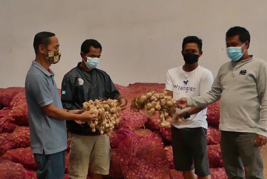 Bawang Putih di Temanggung Masuk Perusahaan, Harga Yahud - GenPI.co JATENG