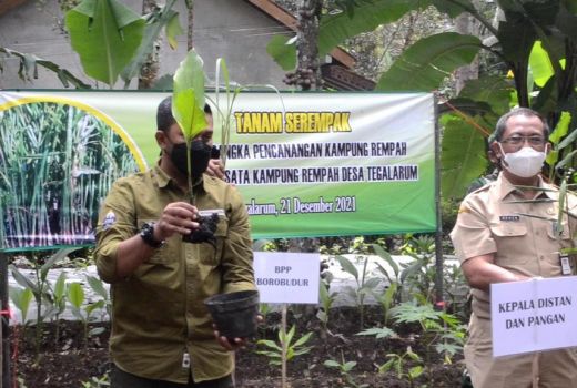 Potensinya Top, Pemkab Magelang Perluas Budidaya Tanaman Obat - GenPI.co JATENG