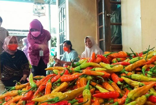 Perluas Pasar, Poktan Magelang Diajak Lelang Terpadu Kemendag - GenPI.co JATENG