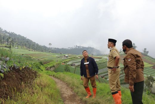1.700 Ha Lahan Gundul di RPH Petak 19 Bakal Dihijaukan - GenPI.co JATENG