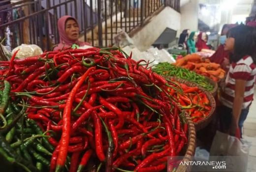 Sabar Bun, Harga Cabai di Temanggung Masih Pedas - GenPI.co JATENG