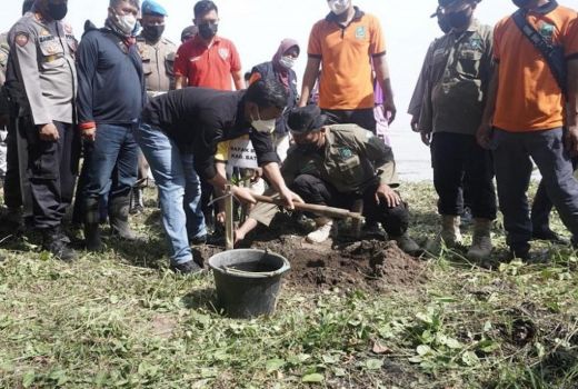 Minimalisasi Abrasi, 12.400 Mangrove Ditanam di Pantai Batang - GenPI.co JATENG