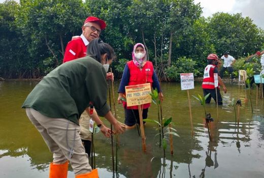 Miris! Batang Kehilangan 100 Meter Bibir Pantai Akibat Abrasi - GenPI.co JATENG