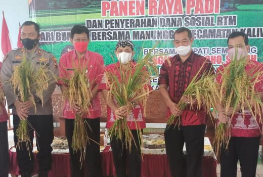 Panen di Kabupaten Semarang Surplus 81.920 Ton, Ini Rahasianya - GenPI.co JATENG