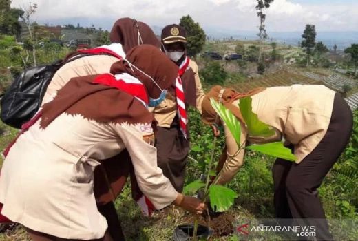 370.000 Bibit Pohon Ditanam Guna Konservasi Lahan di Temanggung - GenPI.co JATENG