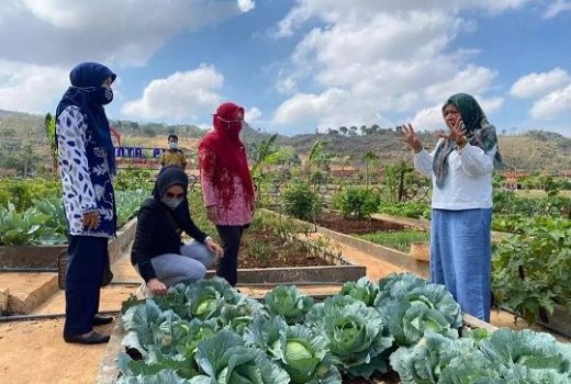 Jos! Emak-Emak Tegaldowo Rembang Ubah Lahan Tidur Jadi Produktif - GenPI.co JATENG