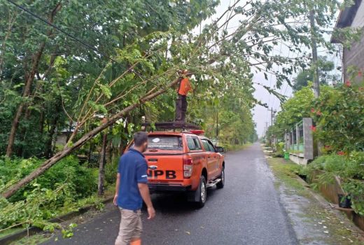 Angin Kencang di Wonogiri, Sejumlah Pohon Tumbang dan Rumah Rusak - GenPI.co JATENG
