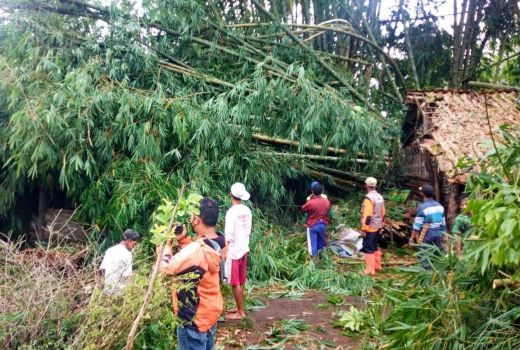 Angin Kencang di Magelang: Sejumlah Pohon Tumbang, 5 Rumah Rusak - GenPI.co JATENG