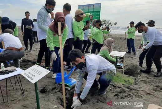 Pantai Tegalkamulyan Ditanami 3.000 Cemara Laut, Ini Tujuannya - GenPI.co JATENG