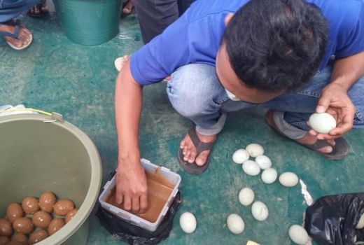 Begini Cara Membikin Telur Asin Lezat ala Peternak Batang - GenPI.co JATENG