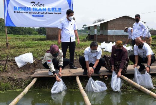 Datangi Kampung Lele, Menteri KKP Beri Eskavator Seharga Rp1,1 M - GenPI.co JATENG