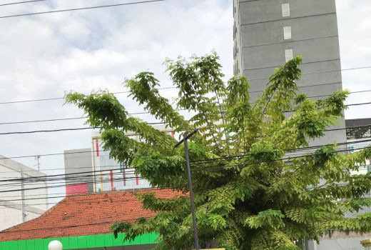 Nunggak Pajak Rp100 Juta, Aset PT PU Disita KPP Pratama Surakarta - GenPI.co JATENG