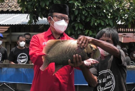 Beri Bantuan Bibit Gurami, Bupati Banyumas Serukan Tekan Stunting - GenPI.co JATENG