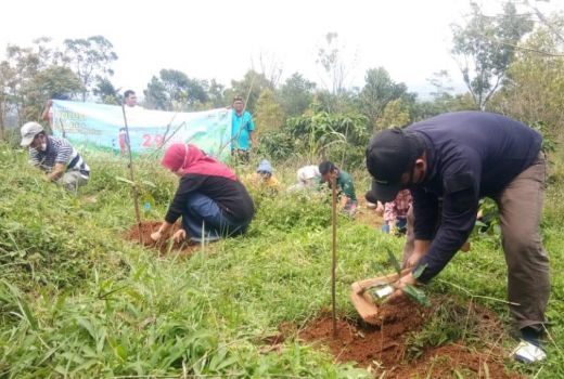Perhatian! 80.000 Hektare Lahan Kritis Batang Butuh Penghijauan - GenPI.co JATENG