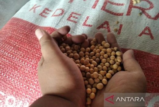 Harga Kedelai Impor Naik, Beredar Kabar Produsen Tahu Kudus Mogok - GenPI.co JATENG