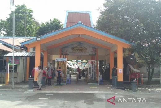 Asyik! Investor Masuk, Kebun Binatang Jurug Solo Dipermak - GenPI.co JATENG