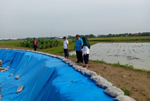 Cegah Banjir di Kota Demak, Tanggul Kali Tuntang Harus Diperbaiki - GenPI.co JATENG