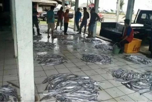 Waduh, Siklon Tropis Bikin Tangkapan Ikan Nelayan Cilacap Menurun - GenPI.co JATENG