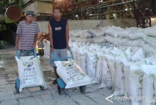 Indonesia Harus Swasembada Gula Pada 2025, Begini Caranya - GenPI.co JATENG